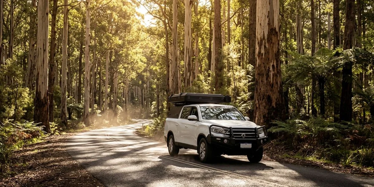 Bakkie 4WD camper driving along a scenic sealed road through tall karri forest in Western Australia